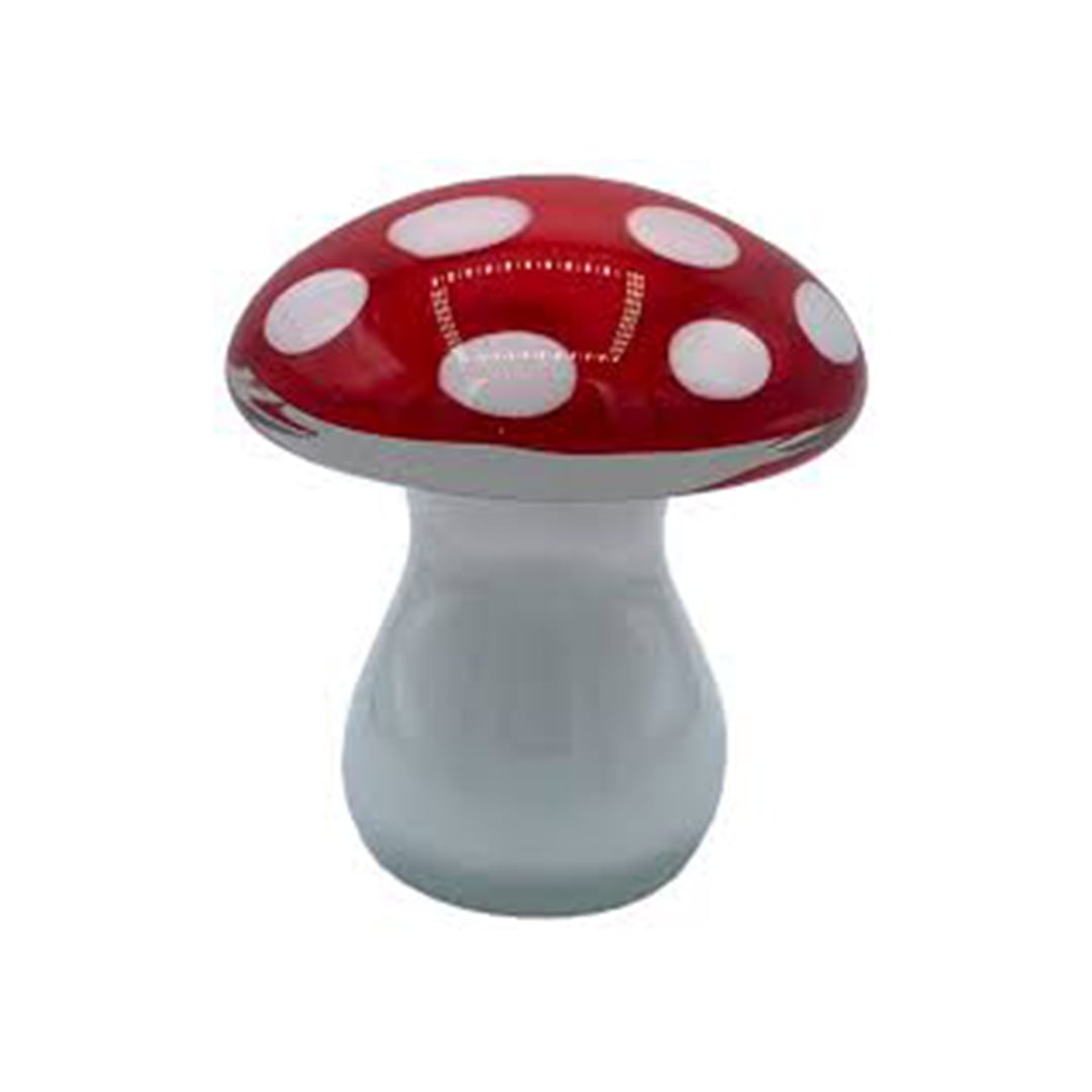 mushroom (4)-min